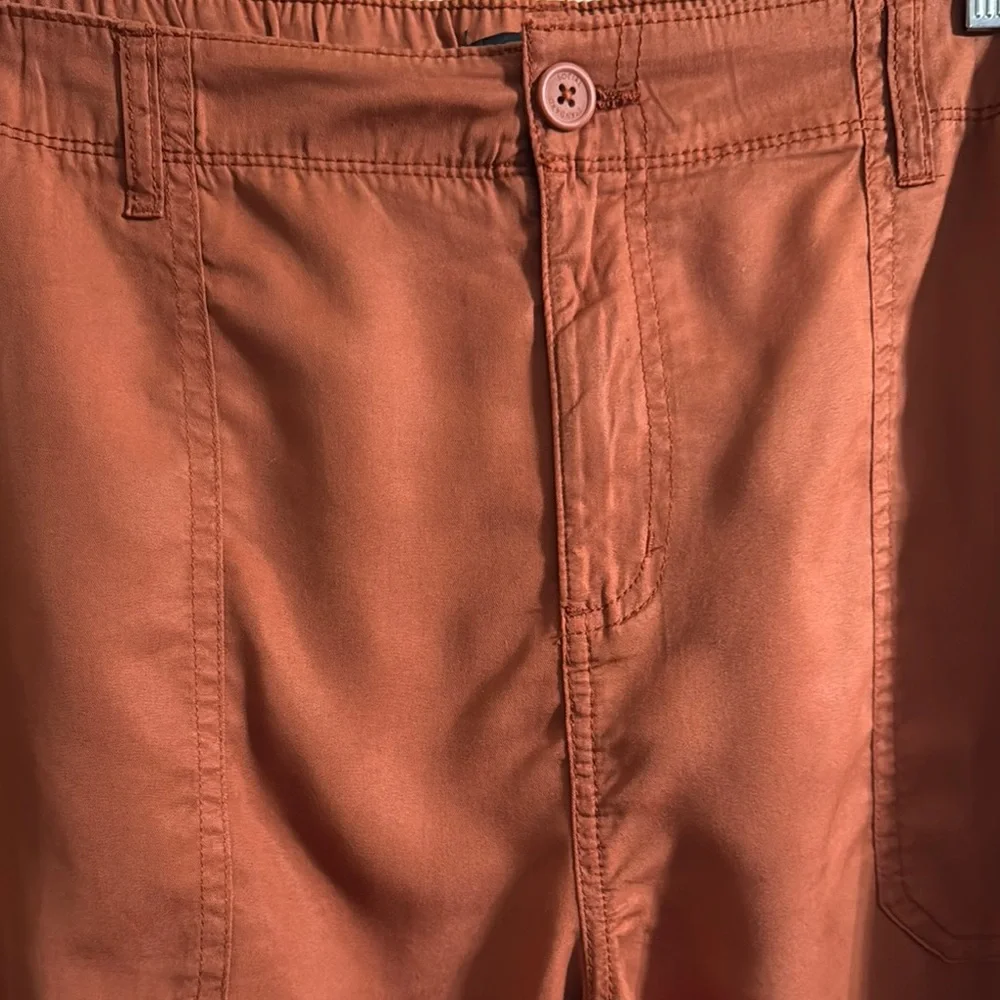 Rust Orange Casual Shorts - Picture 4 of 8